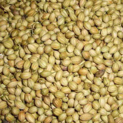Coriander Seeds In Unjah