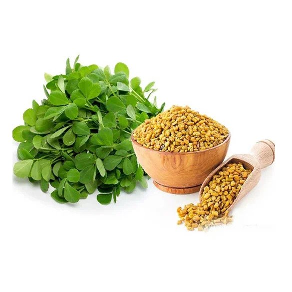 Fenugreek