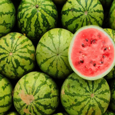 Watermelon In Surat